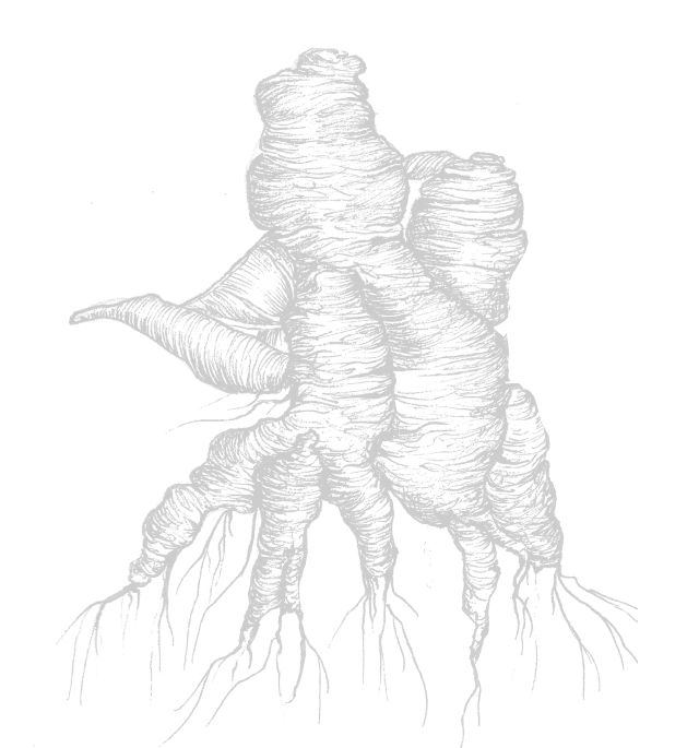 Ingredient Image
