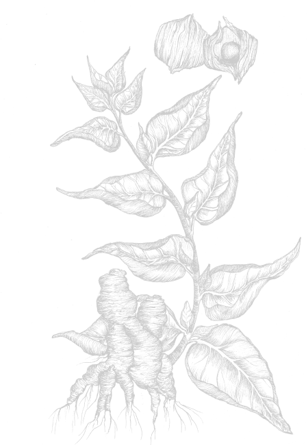 Ingredient Image