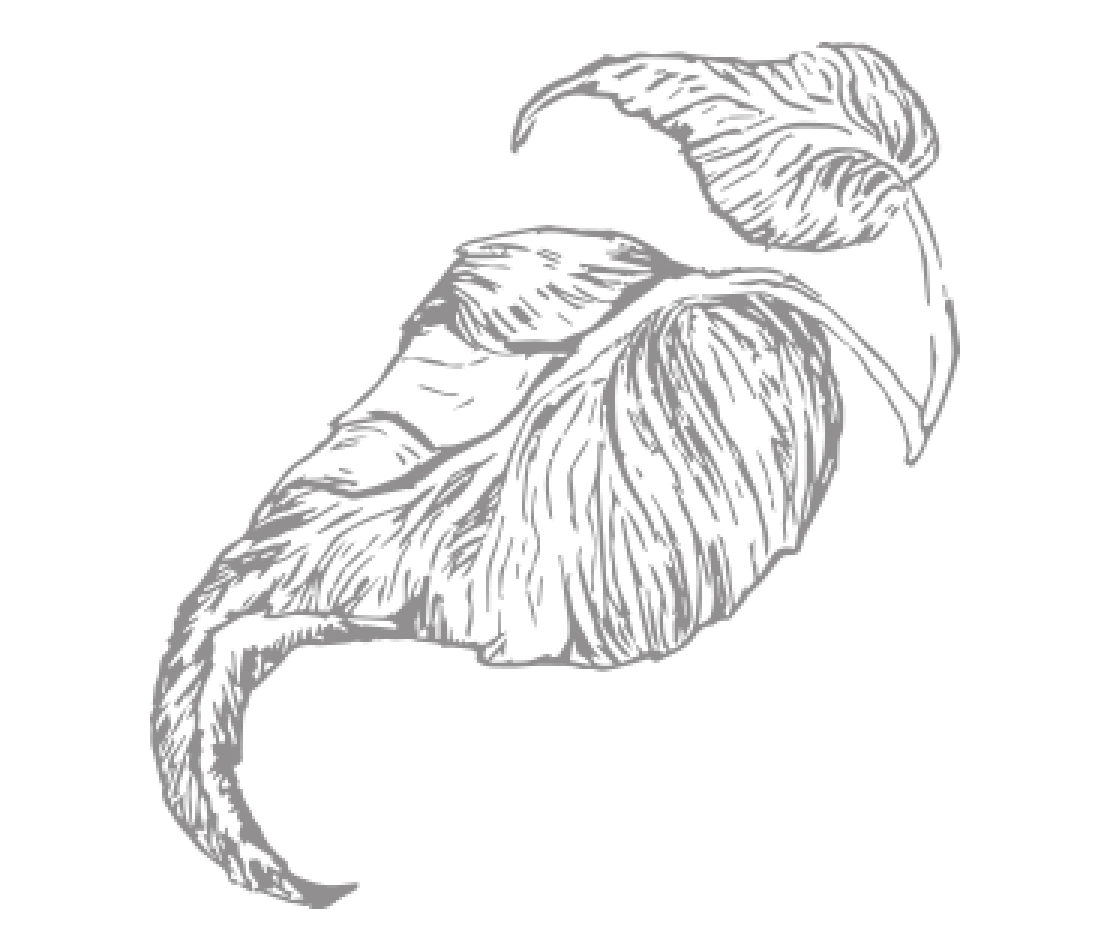 Herb Image