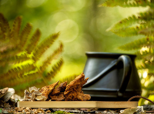 How Adaptogens Work at the Cellular Level: The Science of Stress Adaptation