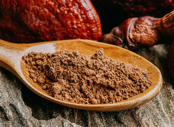 Best Adaptogens for Energy: Ashwagandha, Reishi & More Ranked